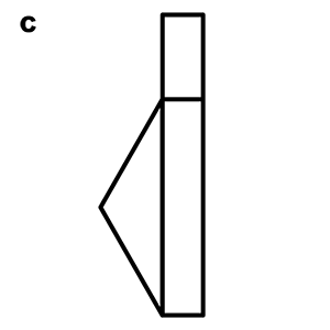 practice item response C