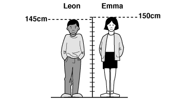 Maths web test item image