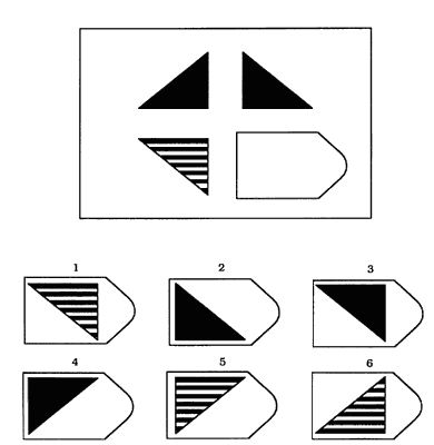 Ravens test item B7