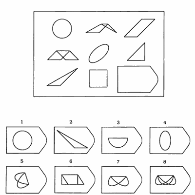 Ravens test item F3